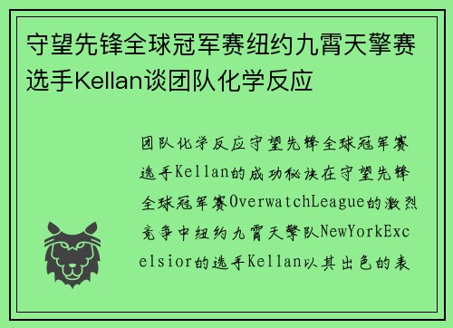 守望先锋全球冠军赛纽约九霄天擎赛选手Kellan谈团队化学反应