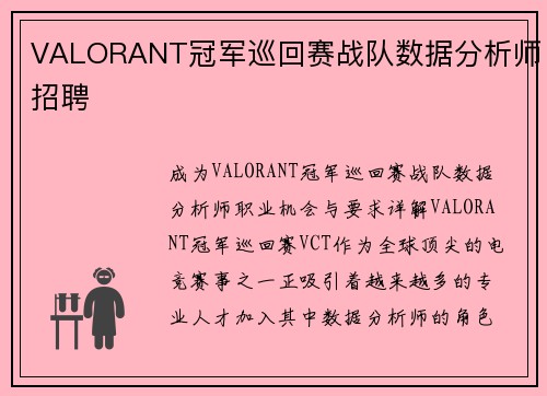 VALORANT冠军巡回赛战队数据分析师招聘