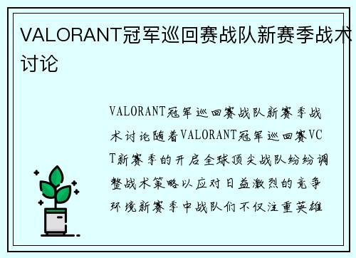 VALORANT冠军巡回赛战队新赛季战术讨论